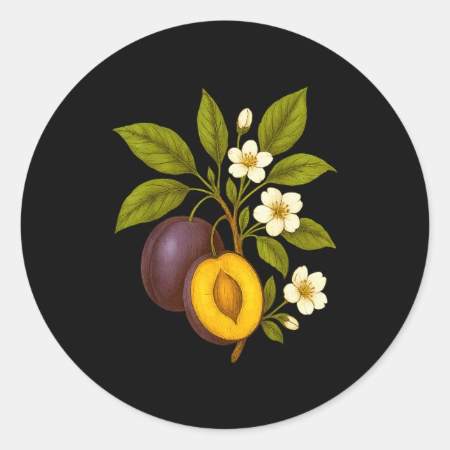 Plum Botanical Fruit Graphic Orchard Farm Nature A Classic Round Sticker (Front)