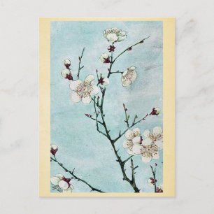 Plum branches with blossoms Ukiyo-e. Postcard