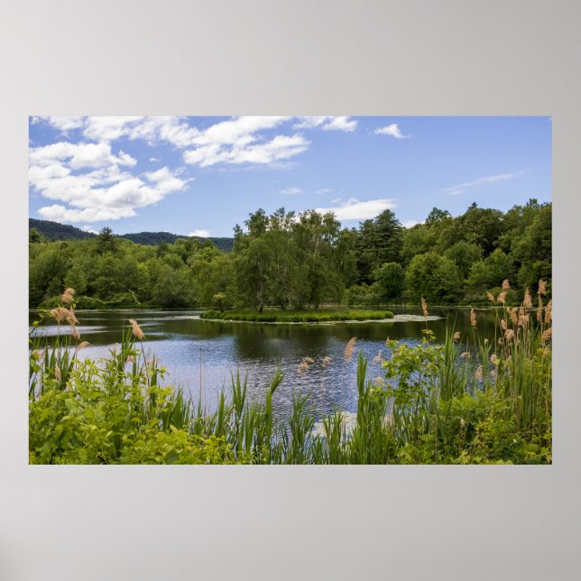 Plum Brook Pond Poster (Front)