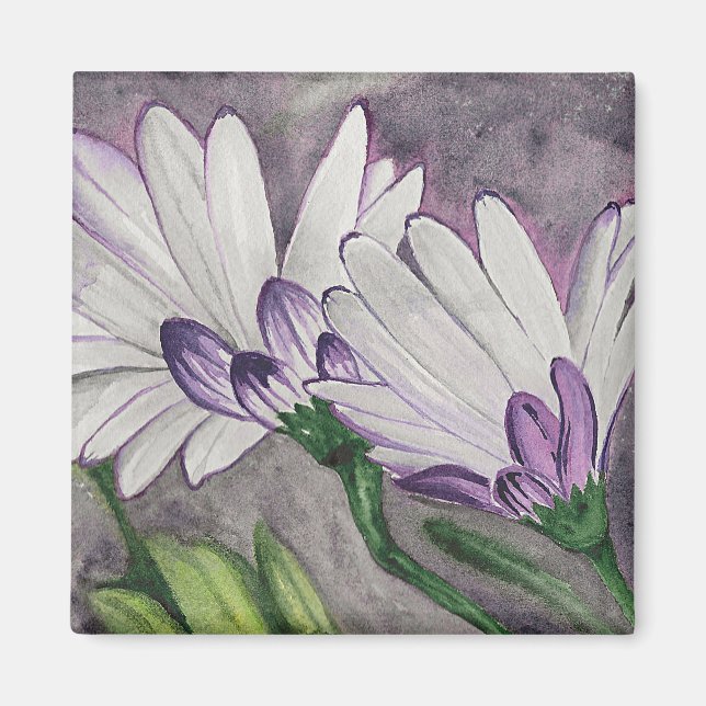 Plum daisy flowers magnet (Front)