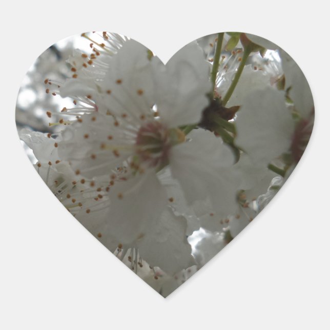 Plum Flower Heart Sticker (Front)