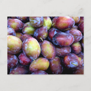Plum fruits photo postcard