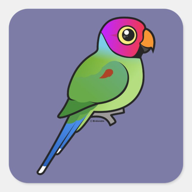 Plum-headed Parakeet male Square Sticker (Front)