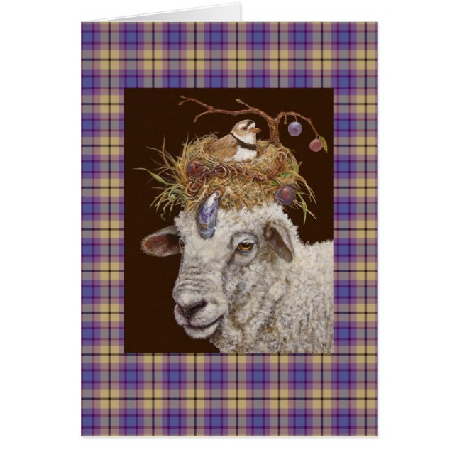 plum island sheep on plaid (Front)