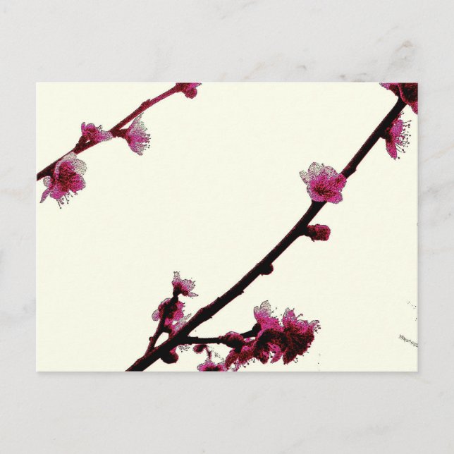 Plum Postcard (Front)