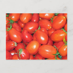 Plum Tomatoes Postcard