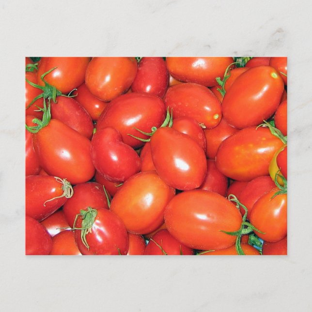 Plum Tomatoes Postcard (Front)