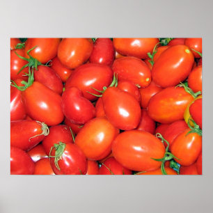 Plum Tomatoes Poster