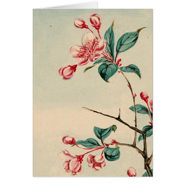Plum tree blossoms Card (Front)
