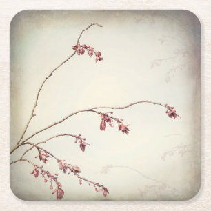 Plum Tree Branch with Spring Buds Seabeck, WA Square Paper Coaster
