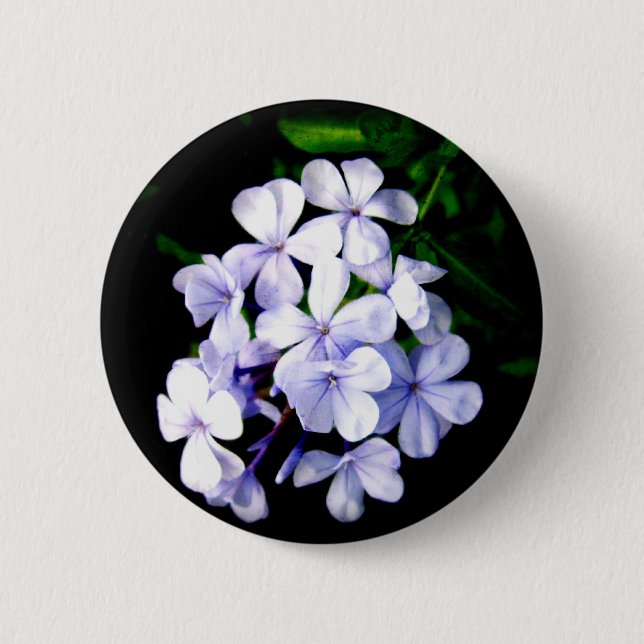 plumbago 6 cm round badge (Front)