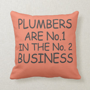 Plumbers are no.1 in the no.2 business cushion