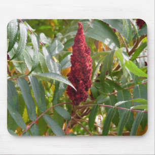 Plume of Flowers Mouse Mat