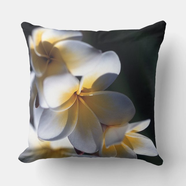 Plume Plumeria Cushion (Front)