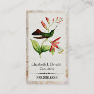 Plumeleteer Hummingbird Business Cards