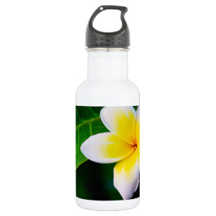 plumeria 532 ml water bottle