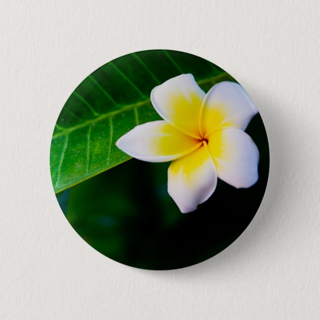 Plumeria 6 Cm Round Badge (Front)