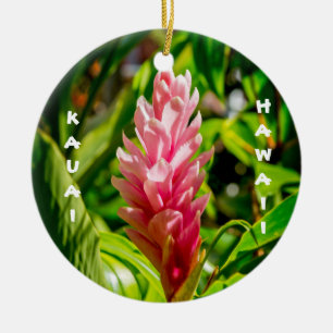 Plumeria and Ginger in Pink Ceramic Tree Decoration
