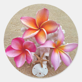 Plumeria and Shells on Sandy Beach Sticker