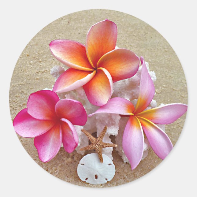 Plumeria and Shells on Sandy Beach Sticker (Front)