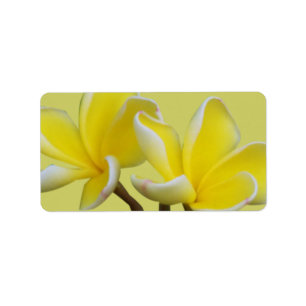 Plumeria Business Address/Shipping Labels