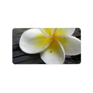 Plumeria Business Address/Shipping Labels