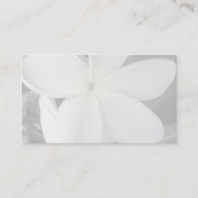 plumeria business card background (Front)