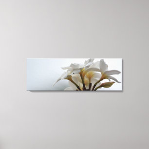 Plumeria Canvas Print