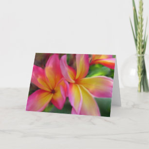 Plumeria Card