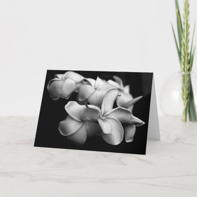 Plumeria Card (Front)