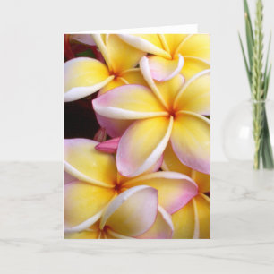 Plumeria Card