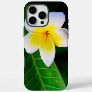 plumeria iPhone 16 pro max case