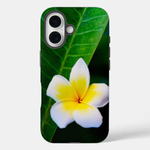 plumeria iPhone 16 case