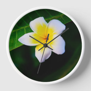 plumeria clock