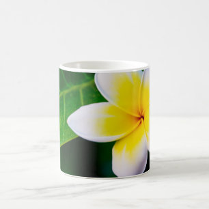 plumeria coffee mug
