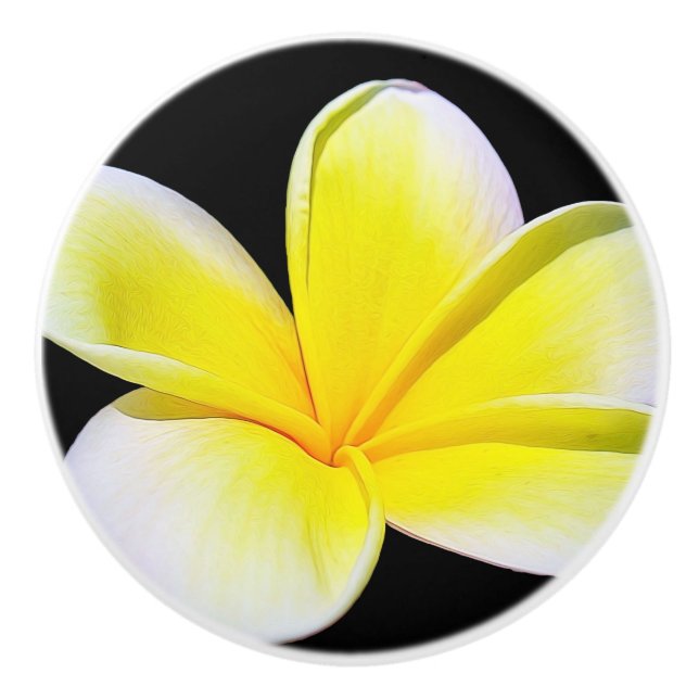 Plumeria Drawer Knob (Front)