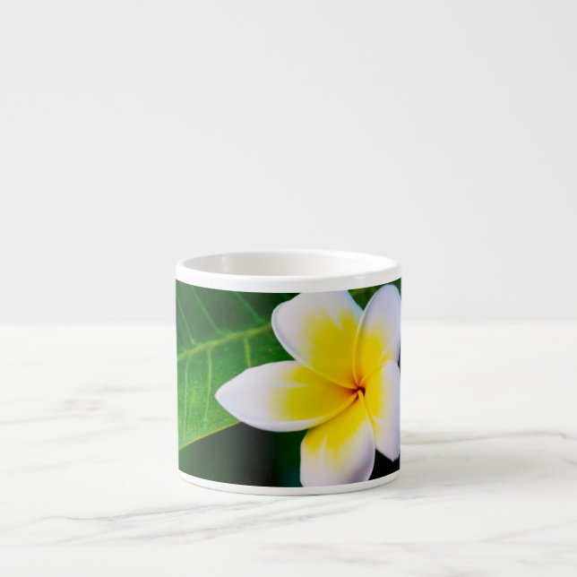 Plumeria Espresso Cup (Front)