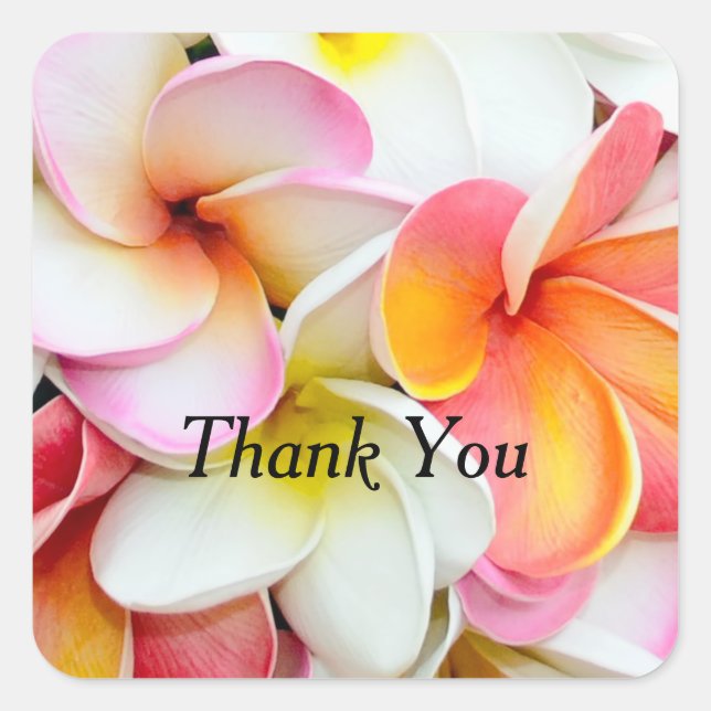 Plumeria Flower Colourful Petals Thank You Square Sticker (Front)