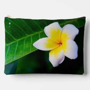 Plumeria Flower Photography Accessory Pouch