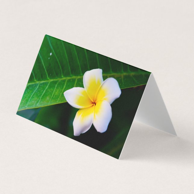 Plumeria Flower Photography Business Card (Front)