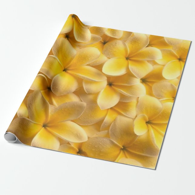 Plumeria Flower Yellow Wrapping Paper (Unrolled)