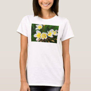 Plumeria flowers close-up, Hawaii T-Shirt