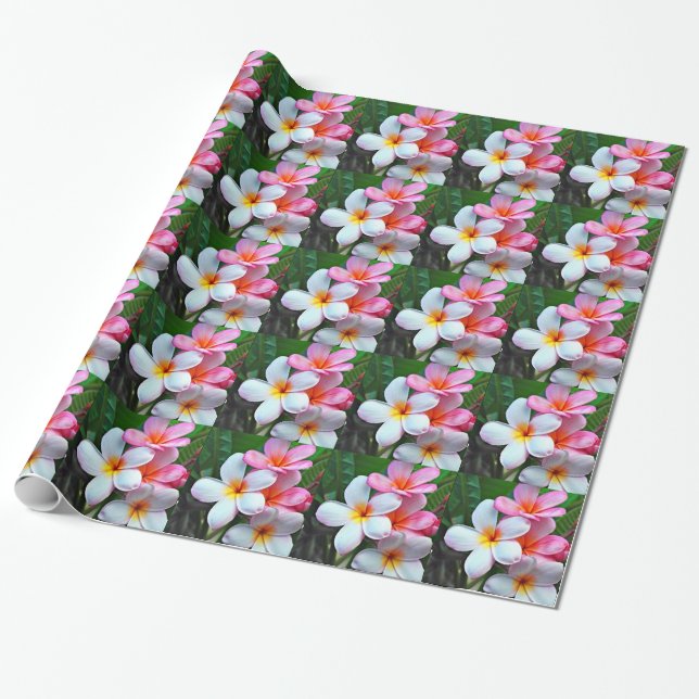 Plumeria flowers frangipani wrapping paper (Unrolled)