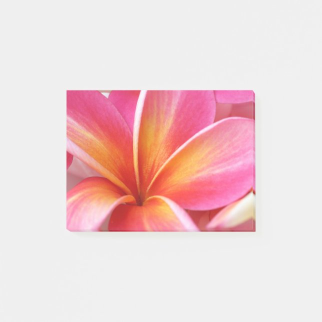 Plumeria Flowers Hawaiian Frangipani Floral Flower Post-it Notes (Front)