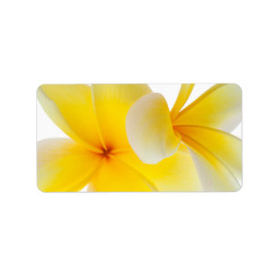 Plumeria Flowers Hawaiian White Yellow Frangipani Label