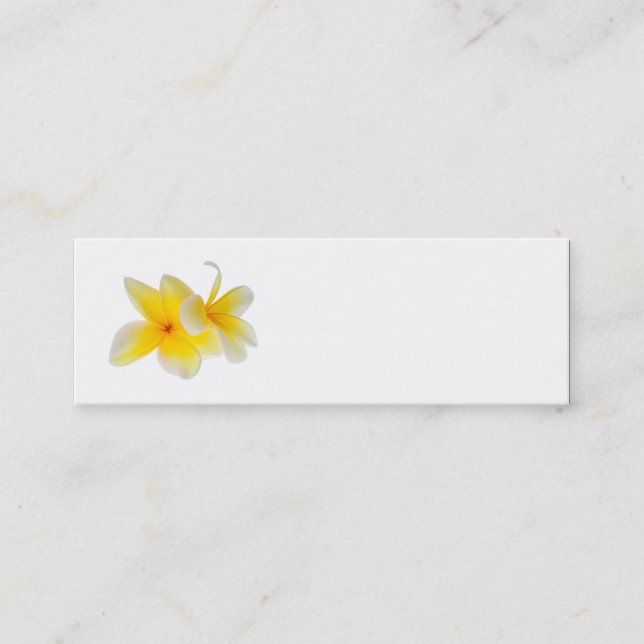Plumeria Flowers Hawaiian White Yellow Frangipani Mini Business Card (Front)