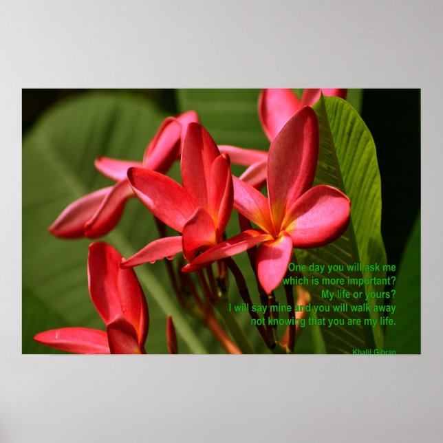Plumeria flowers photo with Khalil Gibran quote Poster (Front)