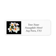 Plumeria Flowers Return Address Labels