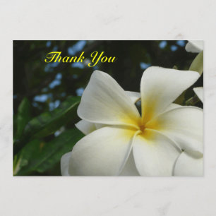Plumeria Frangipani Flower Sympathy Thank You Card