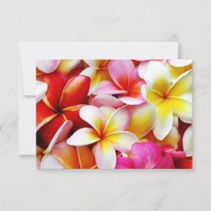 Plumeria Frangipani Hawaii Flower Customised